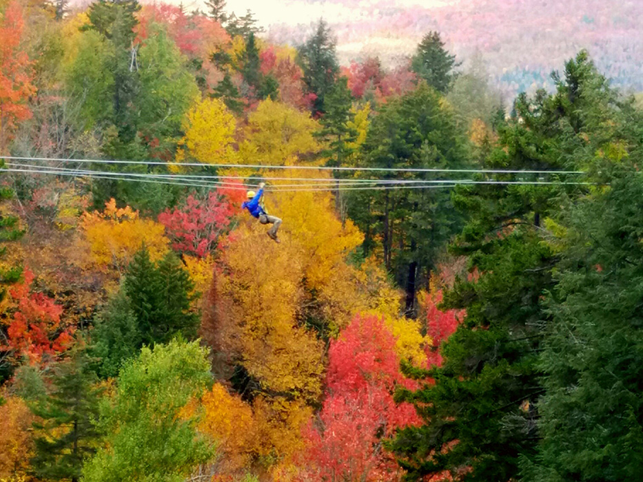 View the foliage from a different perspective on a canopy tour.